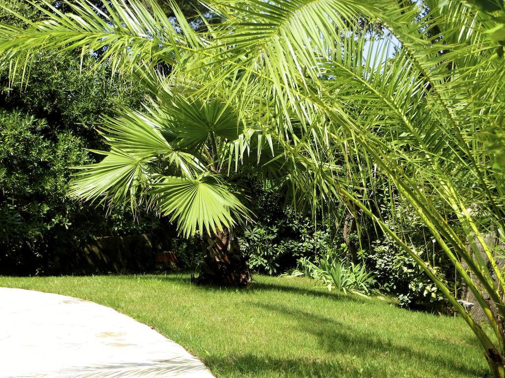 Appartement Dans Villa St Raphael Saint-Raphaël Quarto foto