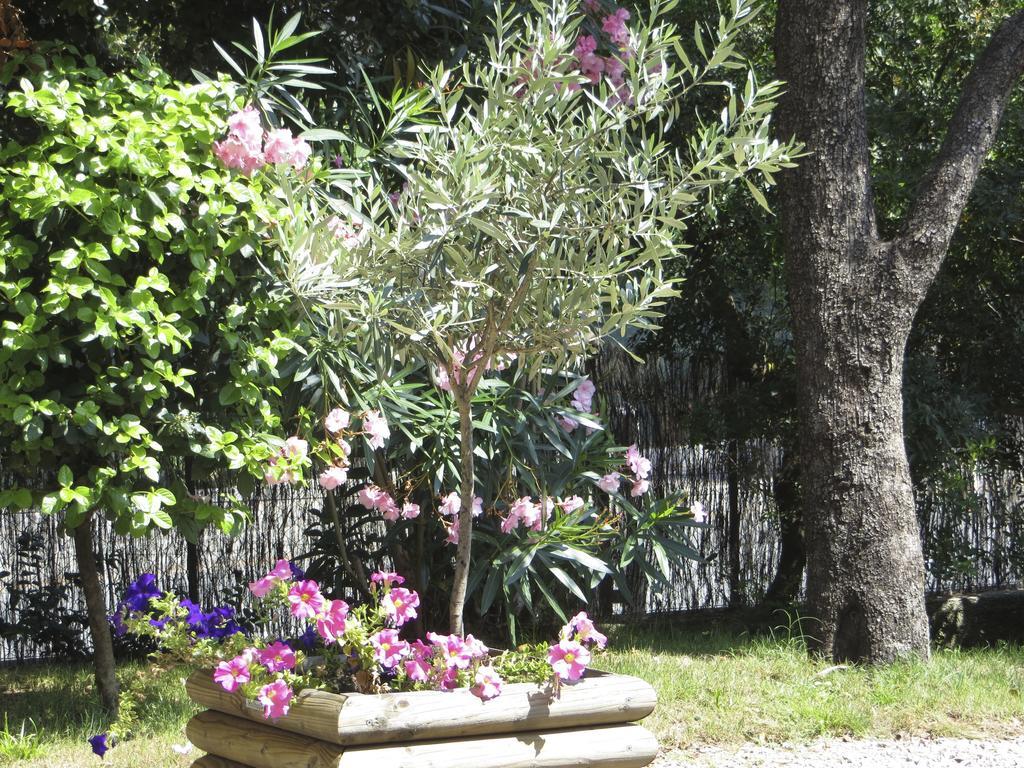 Appartement Dans Villa St Raphael Saint-Raphaël Quarto foto